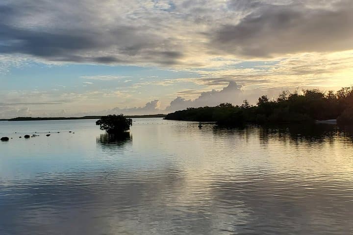 Explore Key Largo Mangroves: Private 90-Minute Eco-Tour Guide photo 2