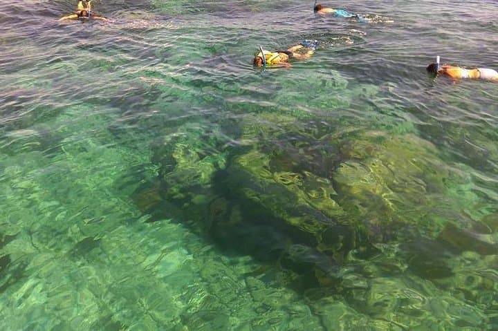 Private Snorkel Tour to John Pennekamp Coral Reef State Park — Key Largo photo 4