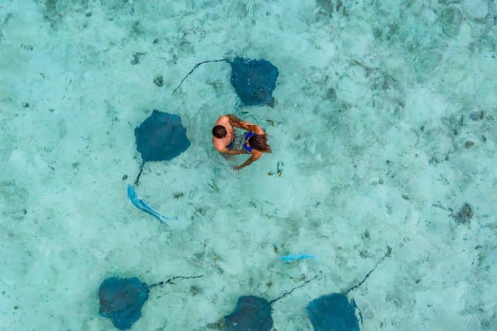 Bora Bora Lagoon Snorkel Cruise: Polynesian Outrigger & BBQ Motu Lunch photo 4