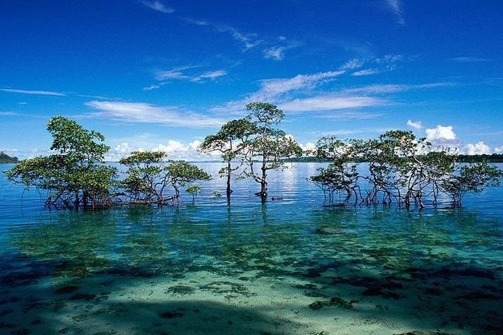Seven-Day Andaman Islands Adventure: Snorkeling, Beaches & Island Hopping photo 6