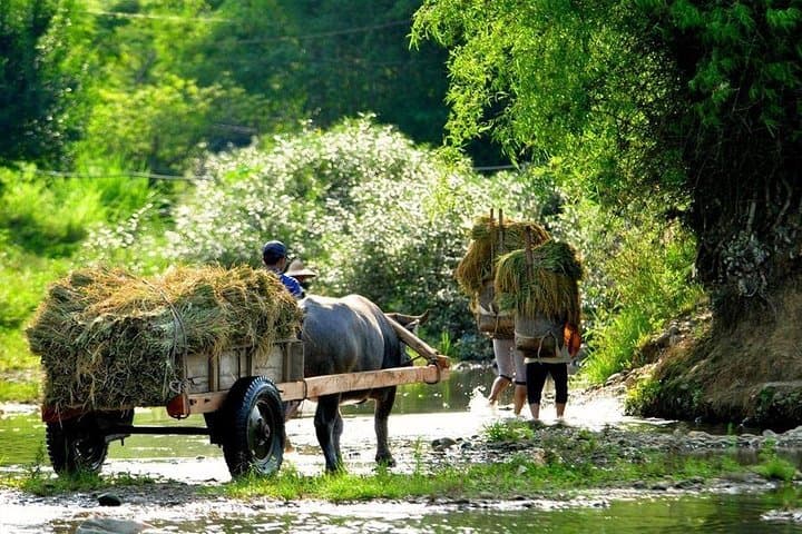 Mai Chau & Pu Luong 2-Day Homestay Trek from Hanoi photo 3