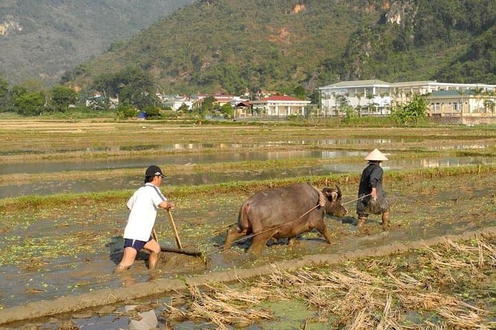 Mai Chau & Pu Luong 2-Day Homestay Trek from Hanoi photo 5