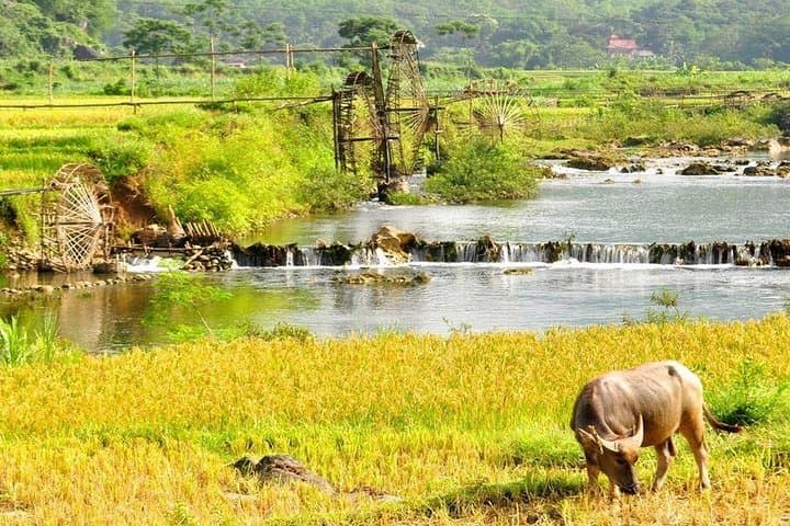 Mai Chau & Pu Luong 2-Day Homestay Trek from Hanoi photo 2