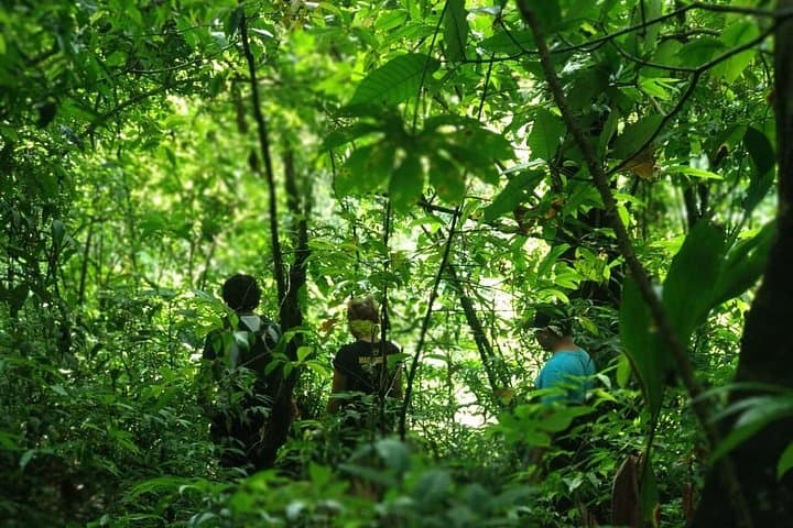 North Bali Escape: Tamblingan Lake & Munduk Jungle Day Trip photo 2