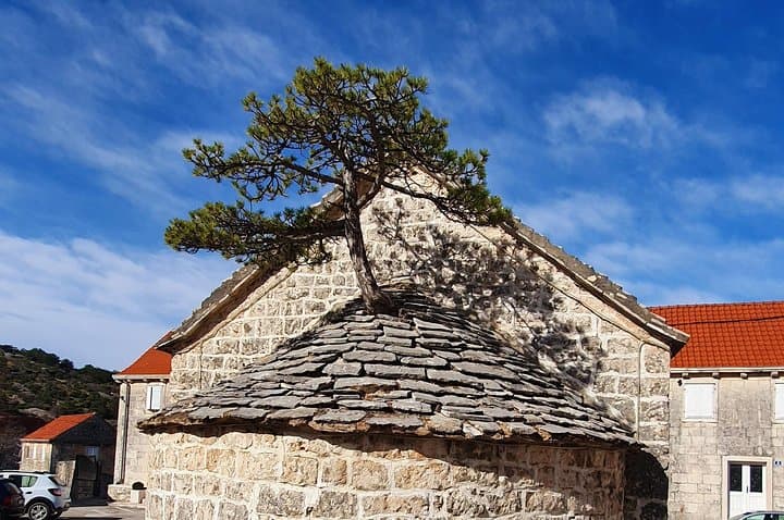 Private Day Trip to Brač Island from Split — Olive Oil & Wine Tasting