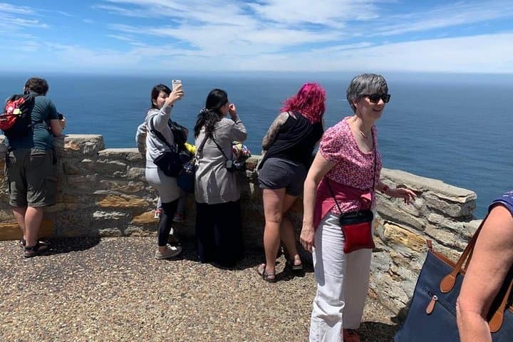 Cape Peninsula & Table Mountain: Full-Day Small-Group Scenic Drive from Cape Town photo 3