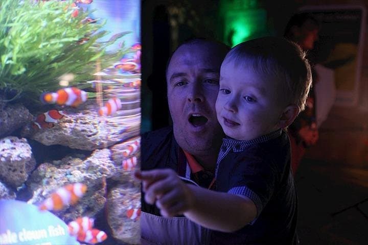 SEA LIFE Blackpool: Explore Sharks, Rays & Seahorses on the Promenade photo 3