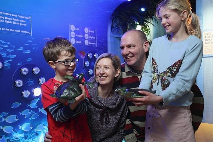 SEA LIFE Blackpool: Explore Sharks, Rays & Seahorses on the Promenade photo 4