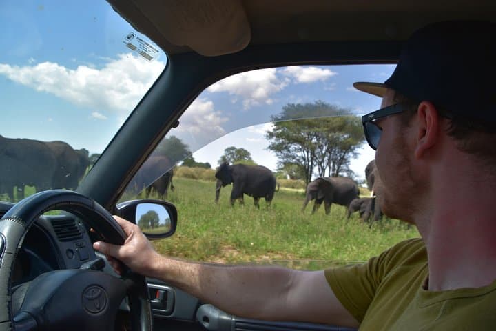 Tarangire Safari: A Day Among Elephants and Baobabs photo 2