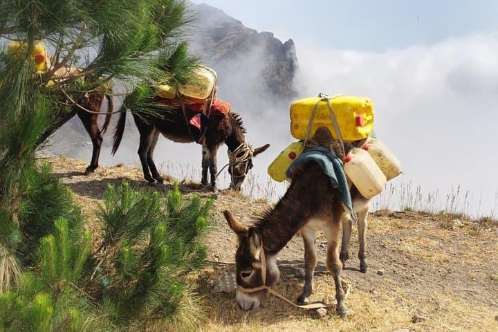 5-Day Cape Verde Adventure: Mindelo, Santo Antão Hike & Coastal Culture photo 3