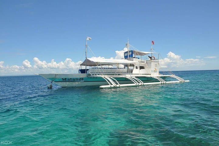 Cebu Island Hopping from Cebu City — Nalusuan, Olango & Pandanon with Lunch photo 2