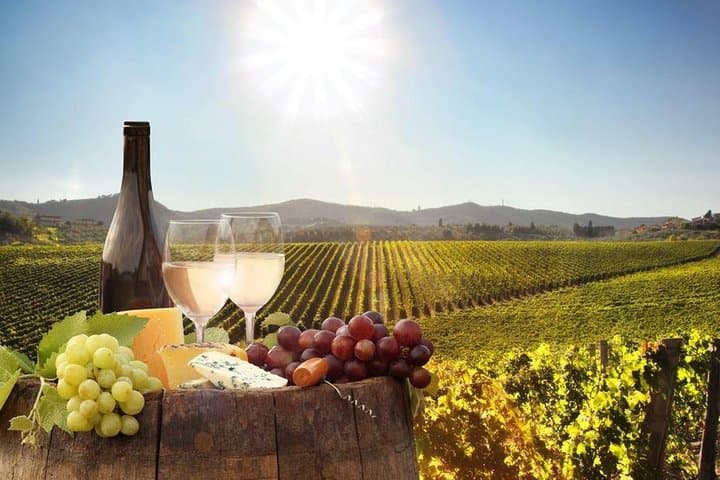 Luxury Stellenbosch & Franschhoek Winelands Day Tour — Private Wine Tastings photo 2