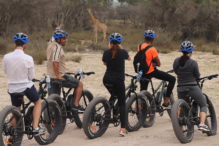 E-Bike Safari Near Cape Town: Full-Day Wildlife Tour in West Coast National Park photo 4