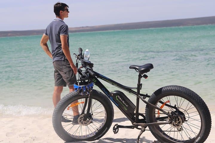 E-Bike Safari Near Cape Town: Full-Day Wildlife Tour in West Coast National Park photo 5