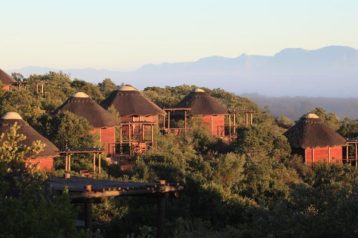 2-Day Garden Route Safari from Cape Town — Big Five Lodge Experience photo 4