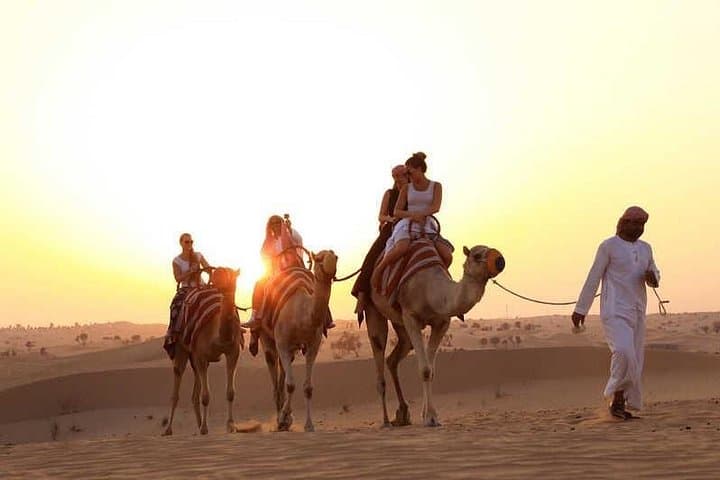 Morning Camel Trekking with Dune Bashing & Sand Boarding in Dubai Desert photo 5