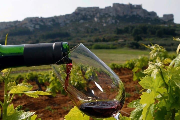 Full-Day Provence Wine Tour: Les Arcs & Var Vineyards with Tastings