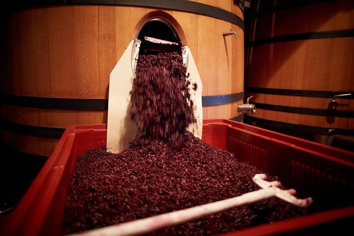 Full-Day Provence Wine Tour: Les Arcs & Var Vineyards with Tastings photo 2