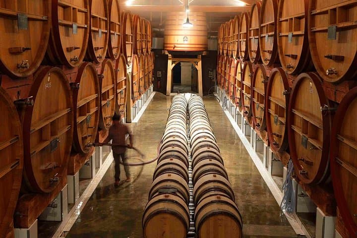 Full-Day Provence Wine Tour: Les Arcs & Var Vineyards with Tastings photo 3