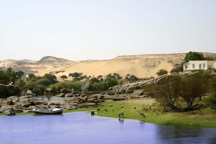 Private 2-Night Felucca Cruise: Aswan to Kom Ombo & Edfu Temples photo 6