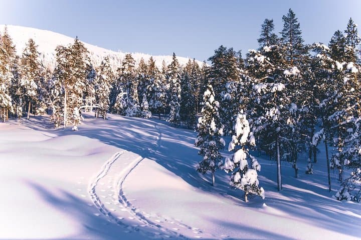 Learn Wilderness Skiing in Pyhätunturi: Private Guided Backcountry Tour with Campfire Meal photo 4