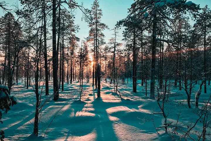 Private Snowshoeing Tour in Pyhätunturi: Guided Arctic Wilderness & Campfire Meal photo 3