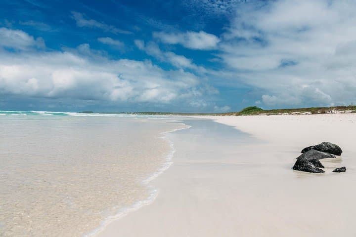 7-Day Quito to Galapagos to Guayaquil: Andean Heights and Island Wildlife photo 3
