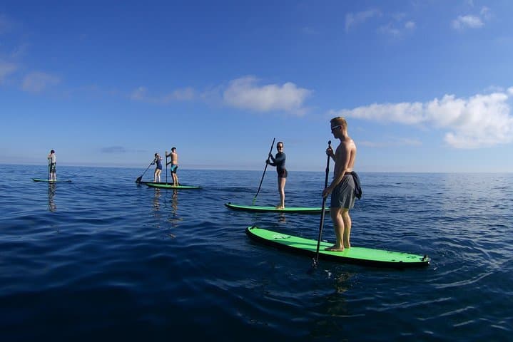 Zumaia SUP Tours: Paddle the Flysch Coast and Urola Marshes