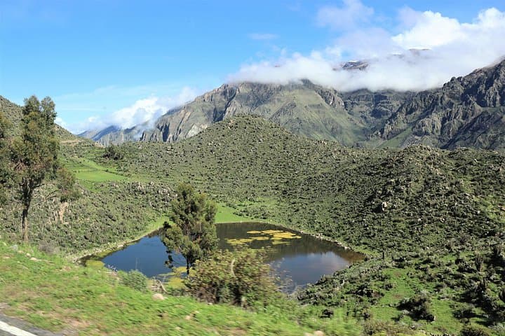 Colca Canyon 3-Day Trek: Condor Cross, Sangalle Oasis & Hot Springs photo 4