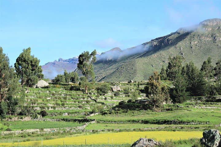 Colca Canyon 3-Day Trek: Condor Cross, Sangalle Oasis & Hot Springs photo 2
