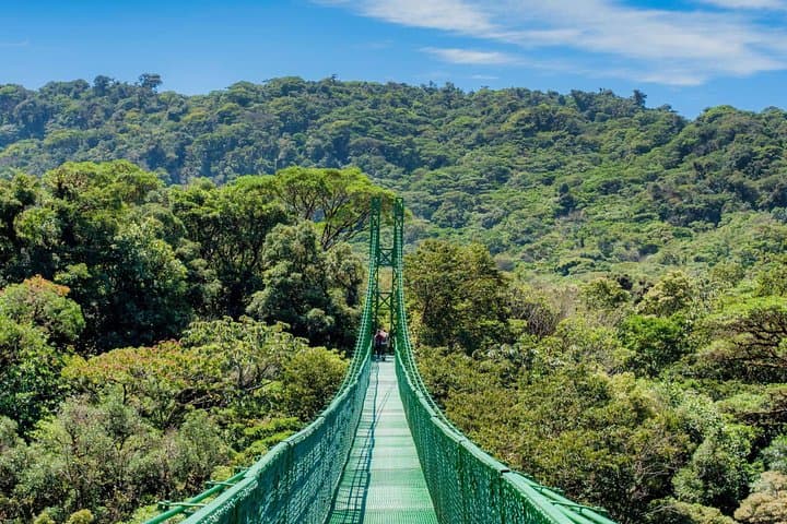 Selvatura Park Eco Adventure: Monteverde Tree Top Walkways & Butterfly Garden photo 2