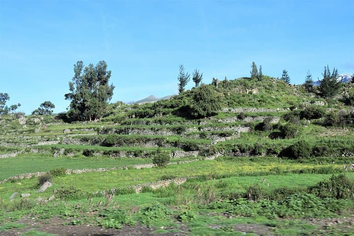 Colca Canyon 2-Day Trek: Condors, Cabanaconde & Sangalle Oasis photo 4