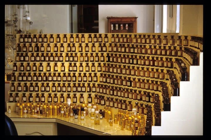 Grasse Perfume & Flower Full-Day Private Tour: Behind the Scents of the Riviera
