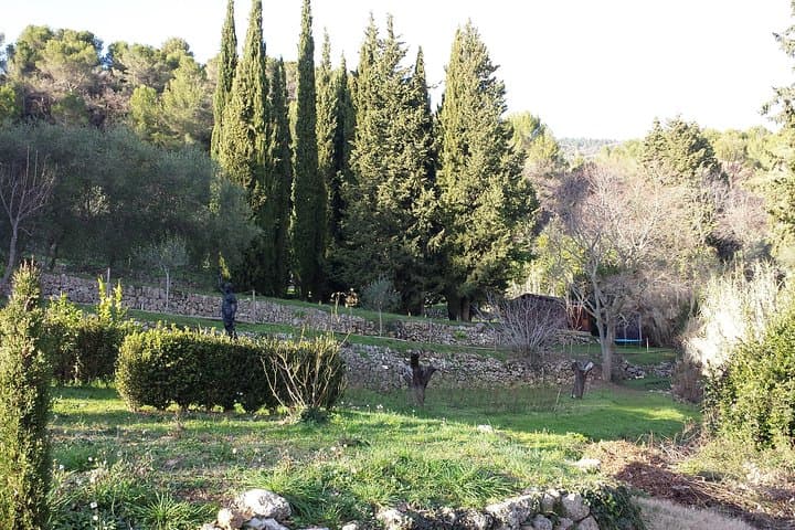 Grasse Perfume & Flower Full-Day Private Tour: Behind the Scents of the Riviera photo 5