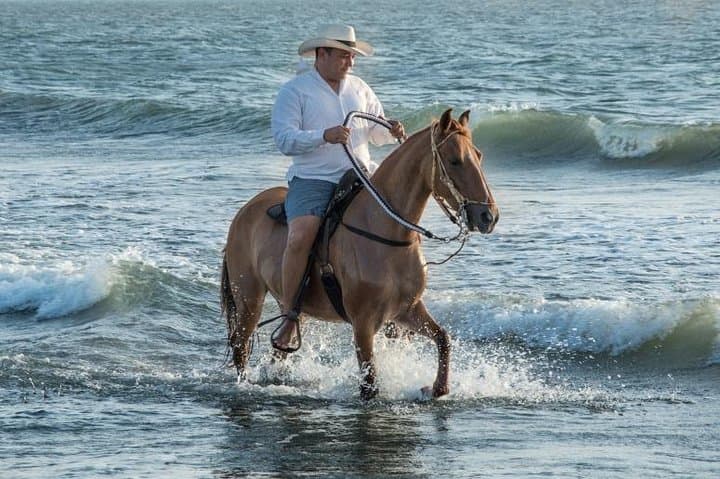 Horseback Riding on Cartagena Beach with Colombian Paso Show photo 2