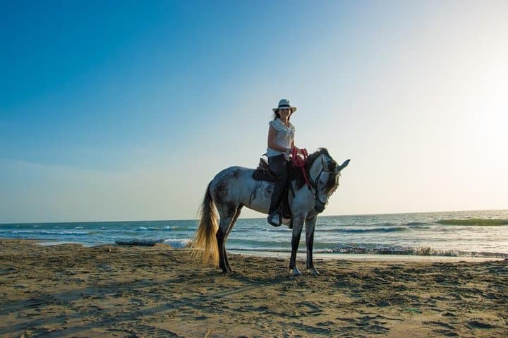 Horseback Riding on Cartagena Beach with Colombian Paso Show photo 4