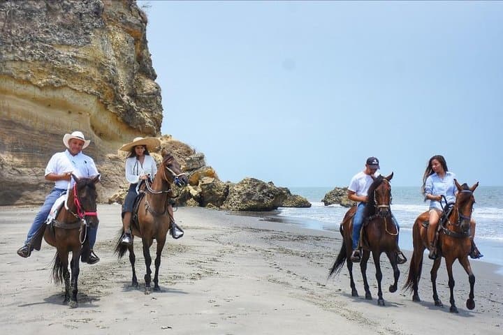 Horseback Riding on Cartagena Beach with Colombian Paso Show