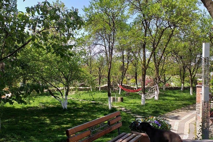 Spa Resort, Caves & Canyons: 2-Day Cultural Escape from Kutaisi photo 3