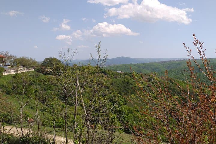Spa Resort, Caves & Canyons: 2-Day Cultural Escape from Kutaisi photo 4