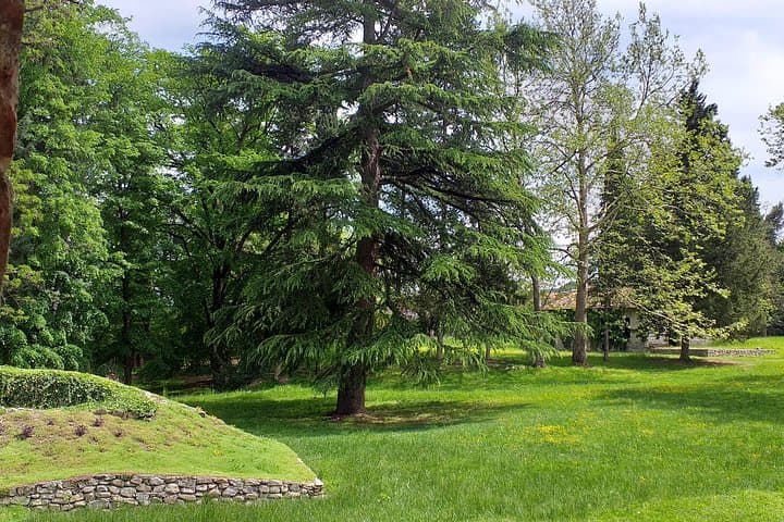 Spa Resort, Caves & Canyons: 2-Day Cultural Escape from Kutaisi photo 5