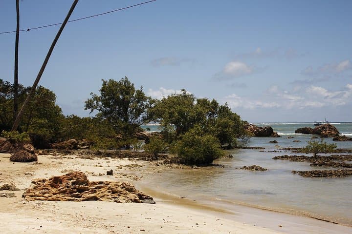 Day Trip to Morro de São Paulo from Salvador: Beaches, Lighthouse & Island Time photo 4