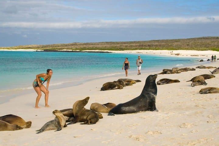 7-Day Quito to Galapagos to Guayaquil: Andean Heights and Island Wildlife photo 5