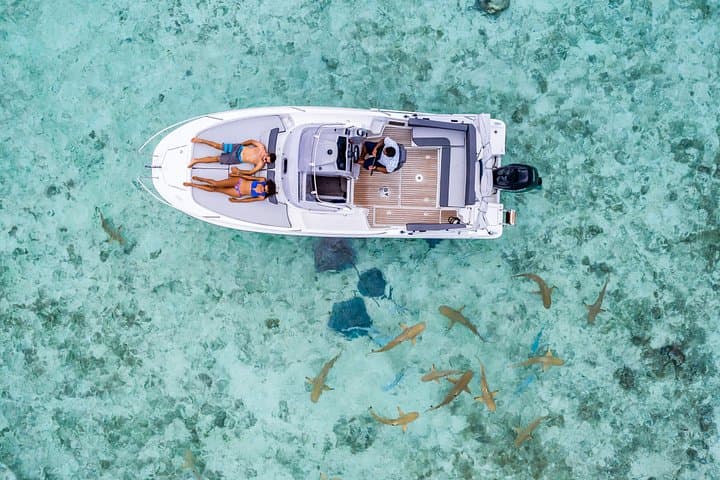 Private Bora Bora Lagoon Eco Snorkel Cruise — 3- or 6-Hour Romantic Eco Tour photo 1