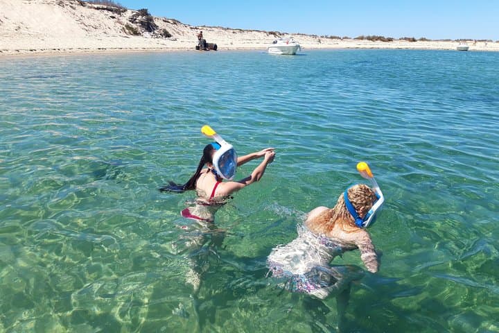 Ria Formosa Islands Cruise: Deserta & Farol 3.5-Hour Tour from Faro photo 3