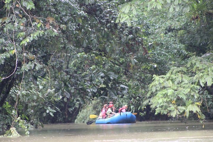 Sarapiqui Safari Float: Rainforest River Wildlife Cruise with Riverside Lunch photo 3