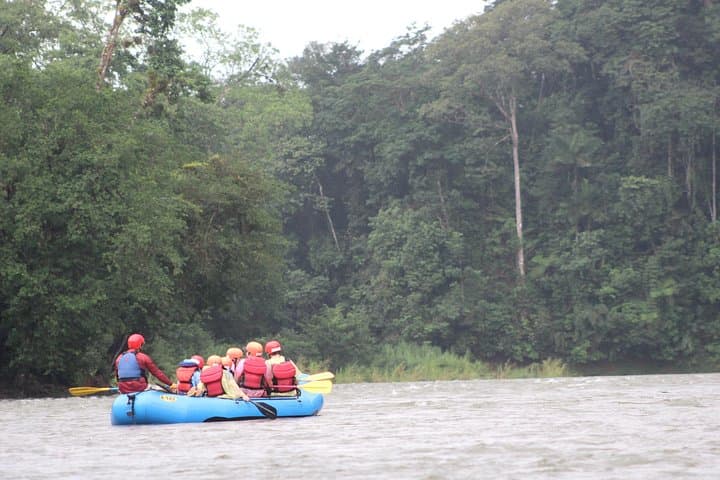 Sarapiqui Safari Float: Rainforest River Wildlife Cruise with Riverside Lunch