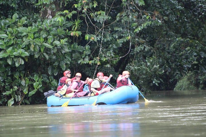 Sarapiqui Safari Float: Rainforest River Wildlife Cruise with Riverside Lunch photo 4