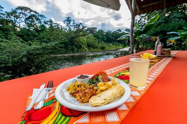 Sarapiqui Safari Float: Rainforest River Wildlife Cruise with Riverside Lunch photo 6