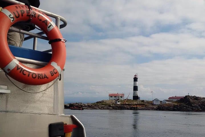 Victoria Whale-Watching Cruise with Naturalist Guides — 3-Hour Shore Excursion photo 6
