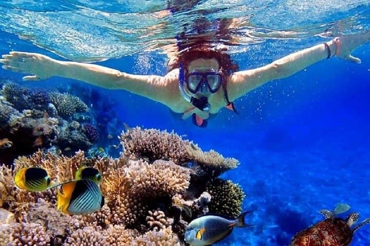 Utopia Island Full-Day Snorkeling from Hurghada — Glass-Bottom Boat & Reef Swim photo 1